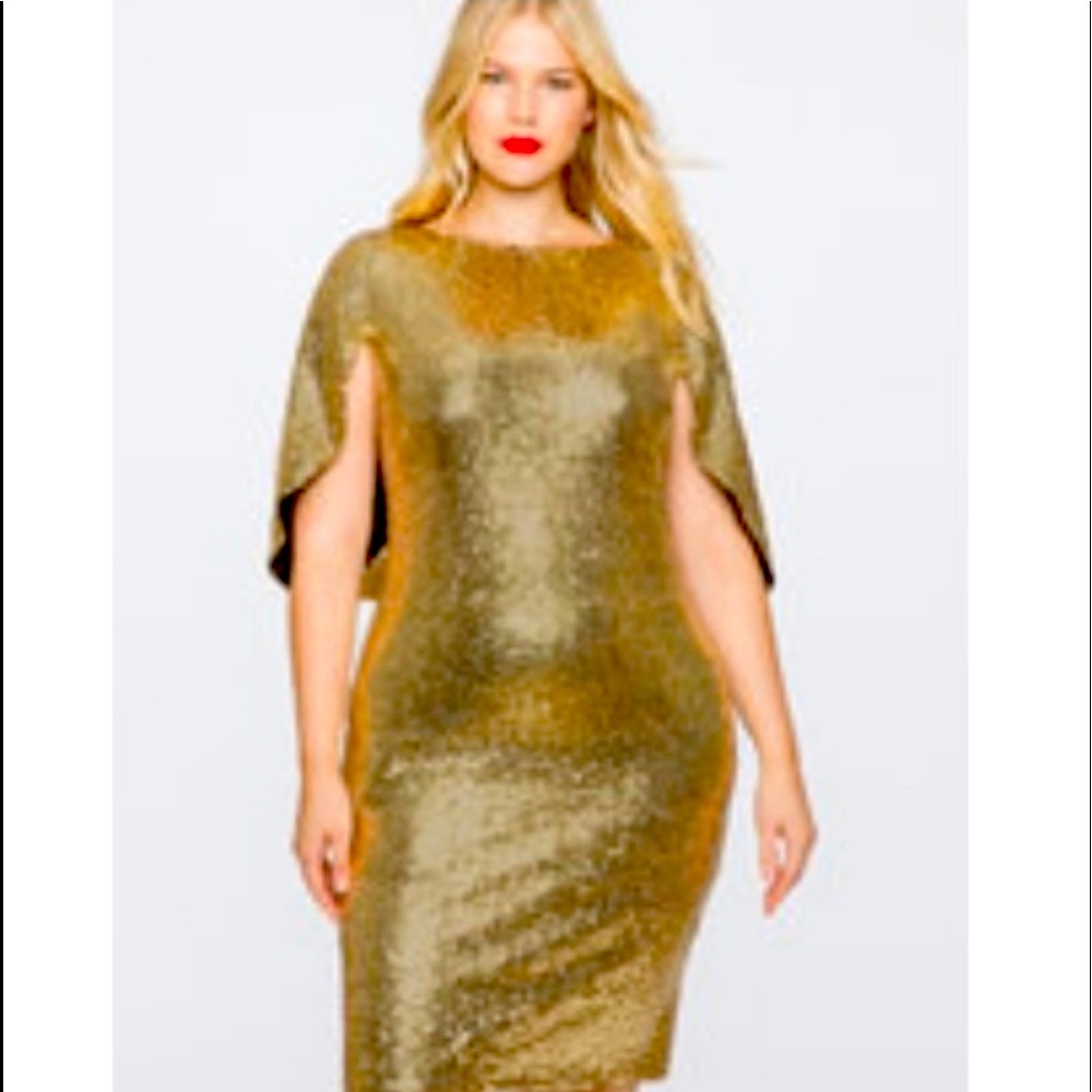 🍾Great Plus Size Holiday Dress🍾 NWT